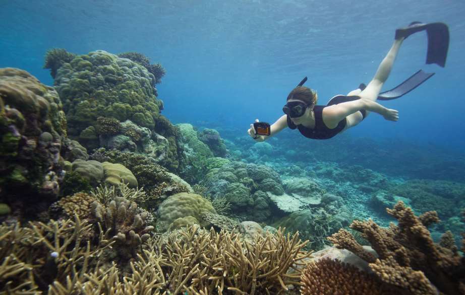 Panasonic Lumix DC- FT7 можно использовать на глубине до 31 метра