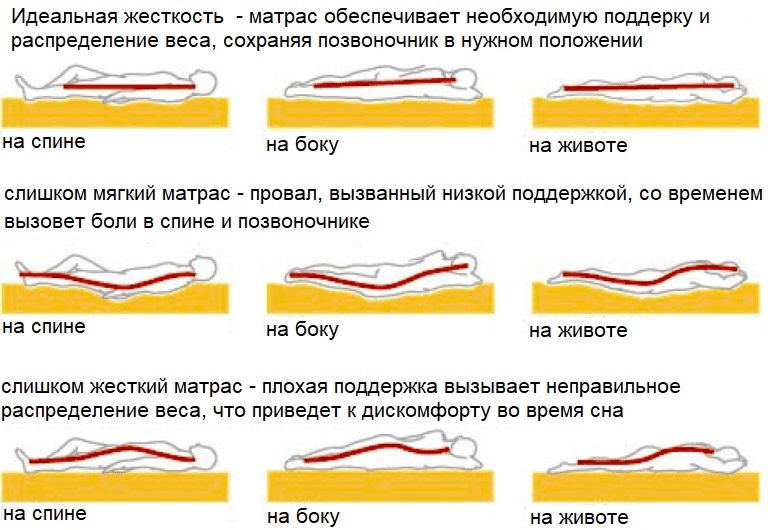 Выбор матраса в зависимости от позы в которой вы спите