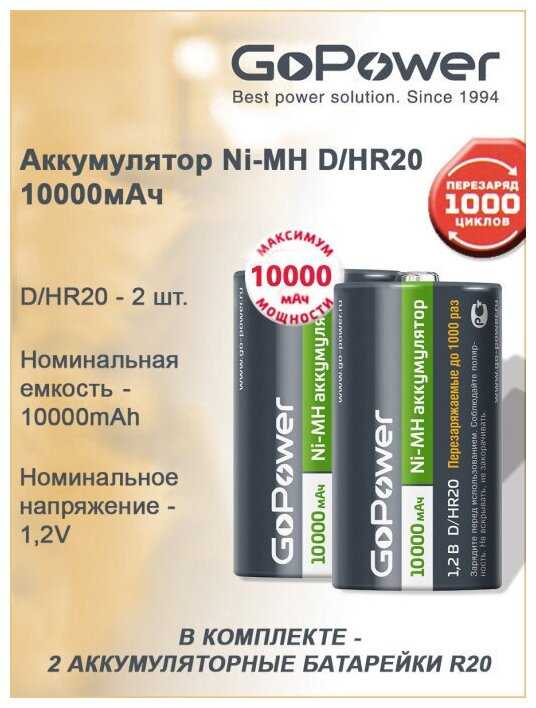 GoPower R20 / D BL2 NI-MH 10000mAh
