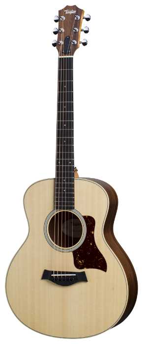 Taylor GS Mini