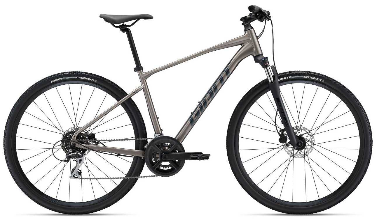 Giant Roam Disc 3 (2022)