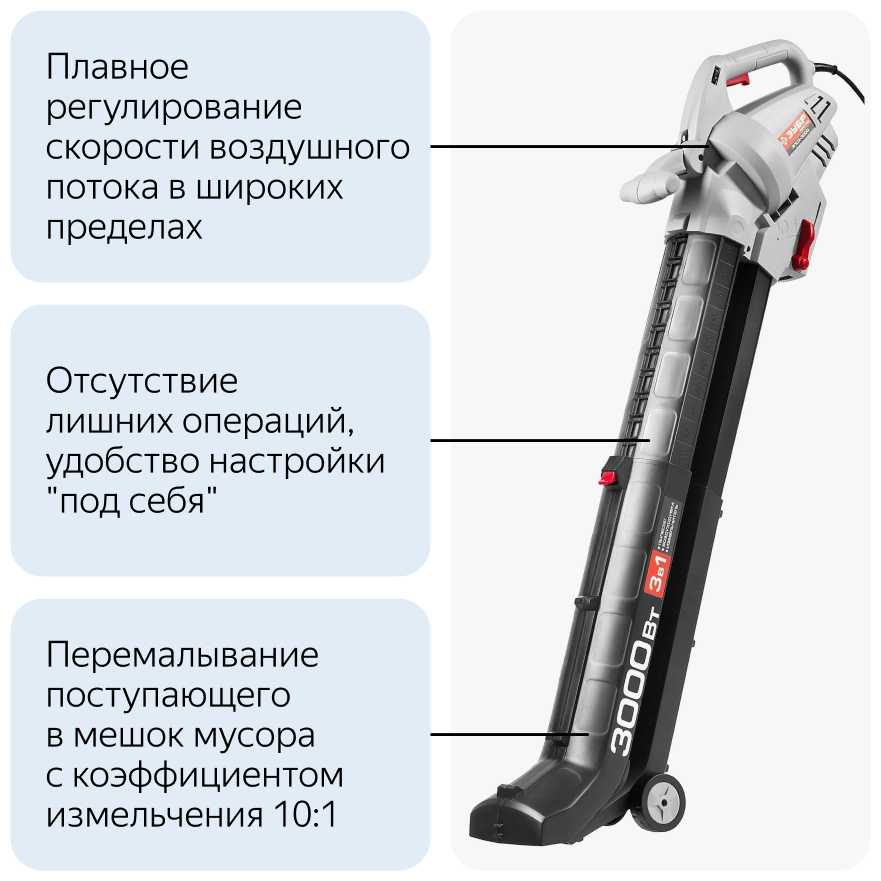 ЗУБР ЗПСЭ-3000