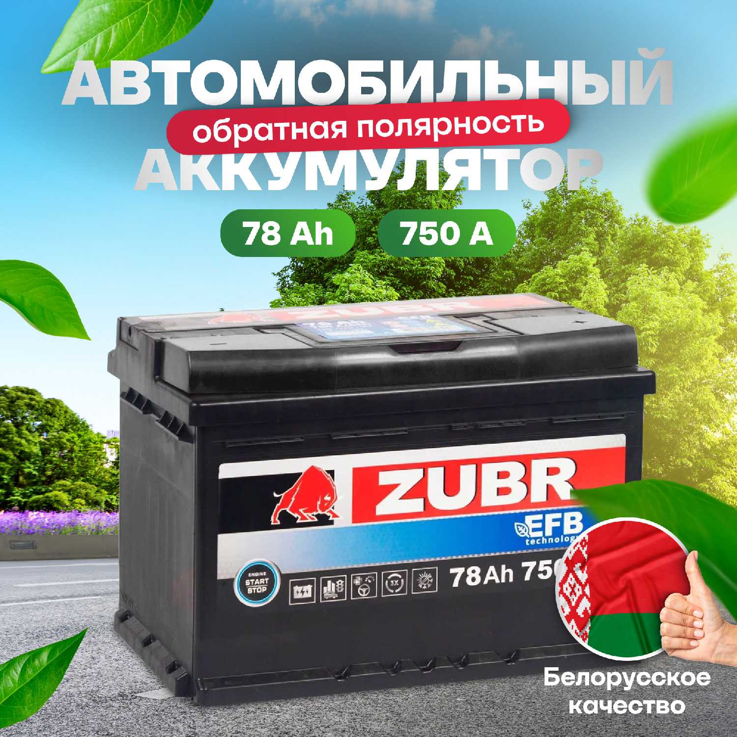 Zubr ZUBR EFB (78 Ah 750 A)