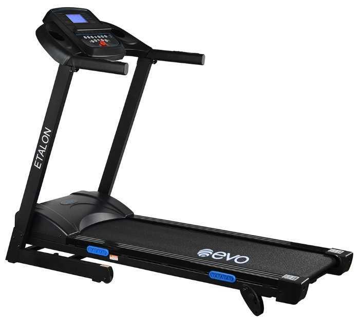Evo Fitness Etalon