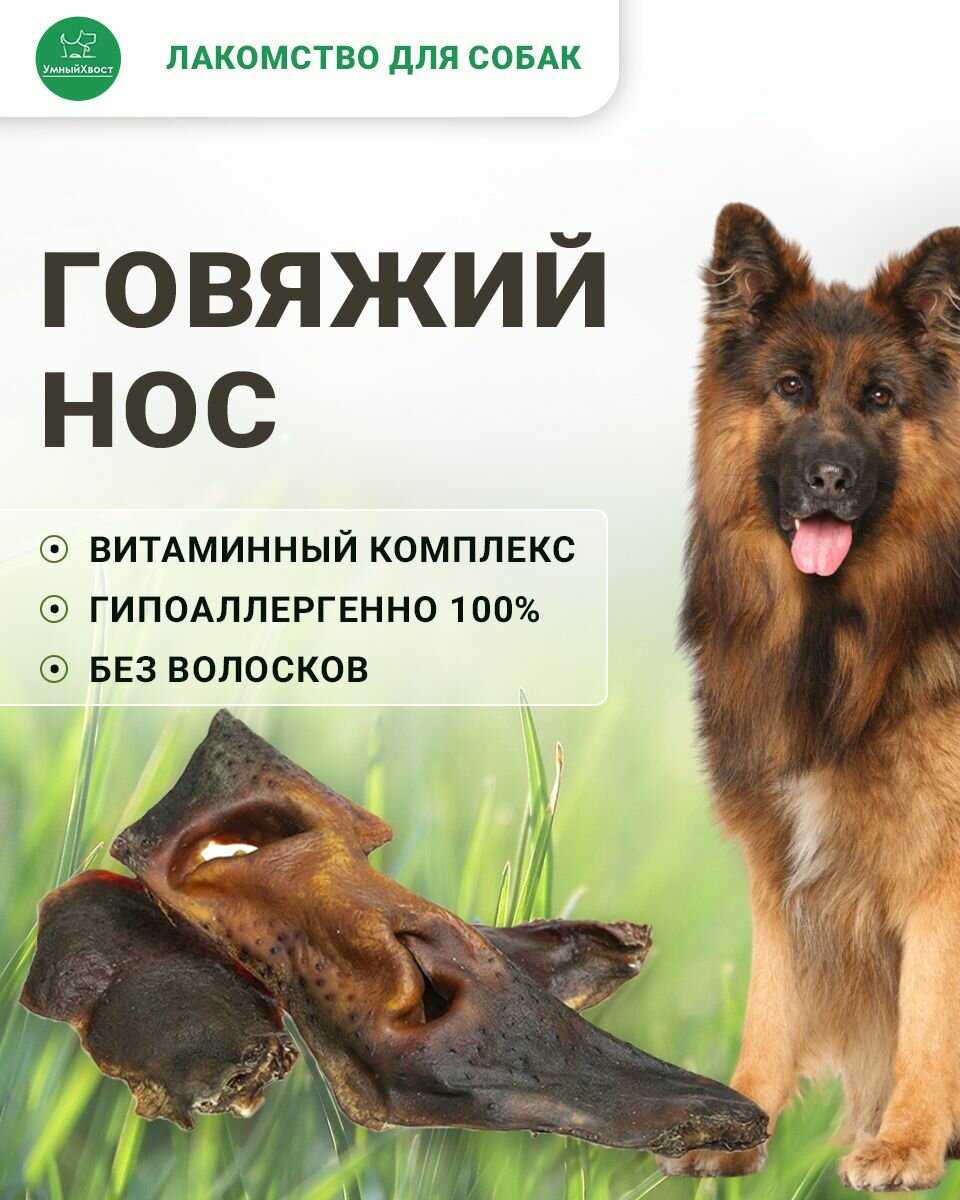 УмныйХвост Говяжий нос