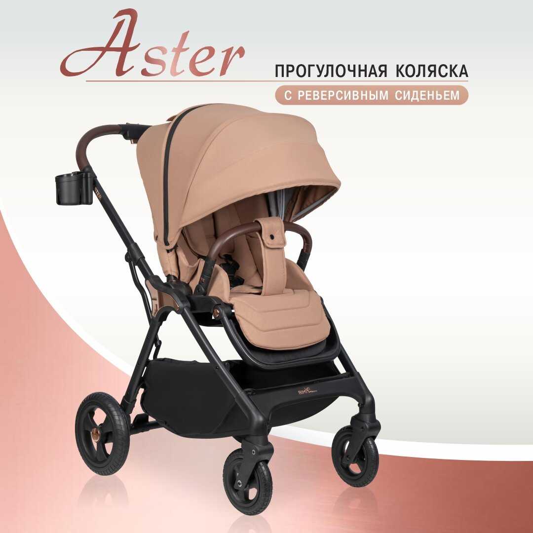 Aimile Aster