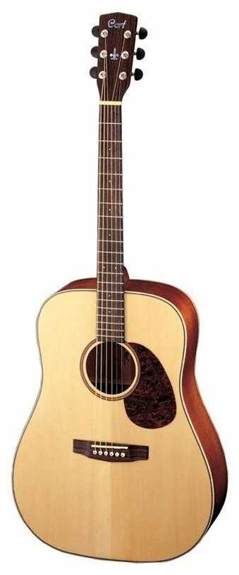 Cort EARTH100-NS