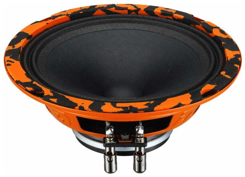 DL Audio Gryphon PRO 165 Neo