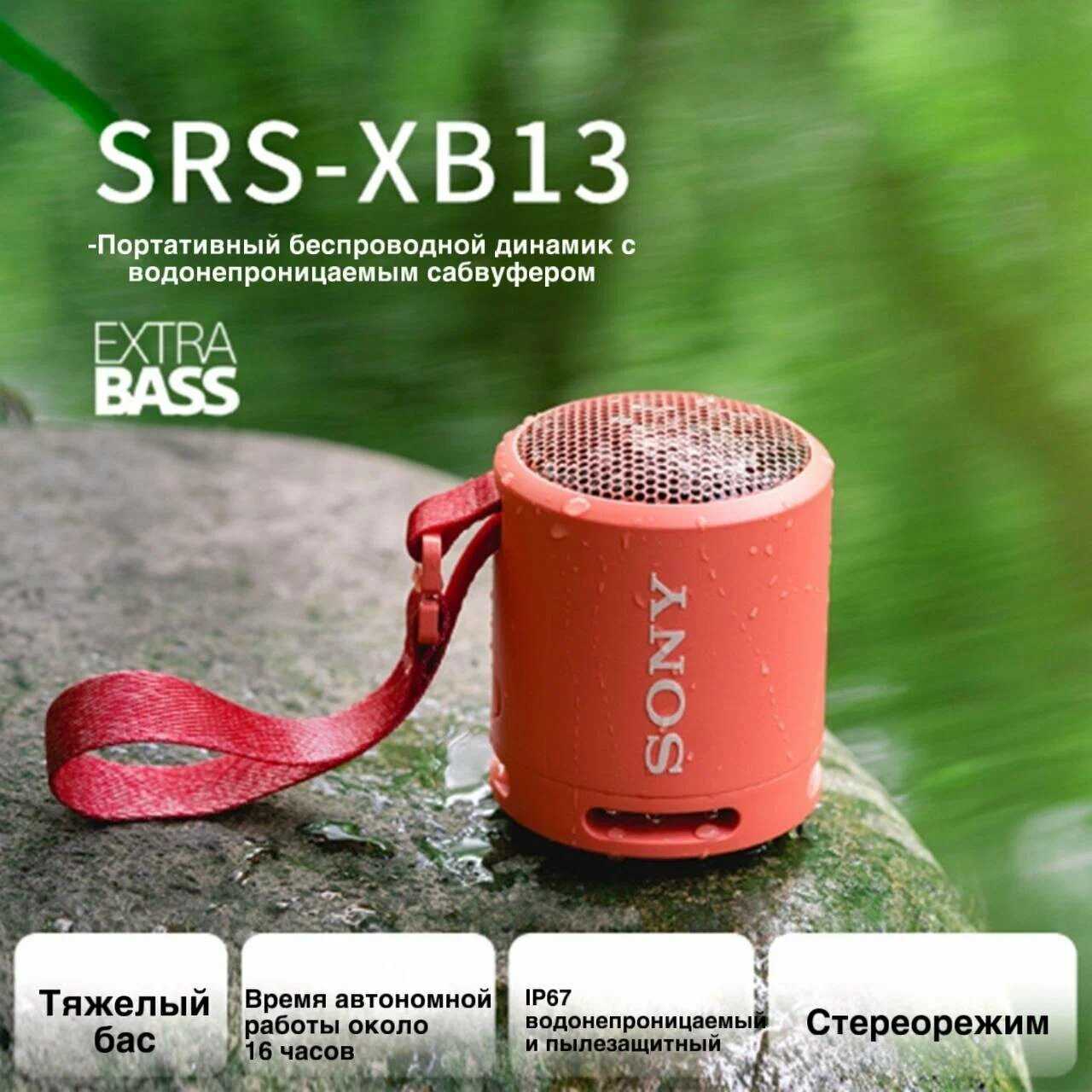 TWS SRS-XB13C