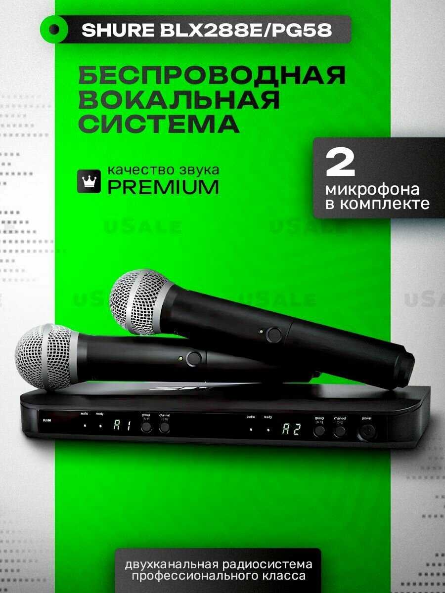Shure BLX288E/PG58