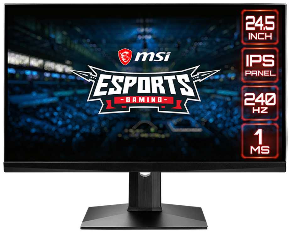MSI Optix MAG251RX