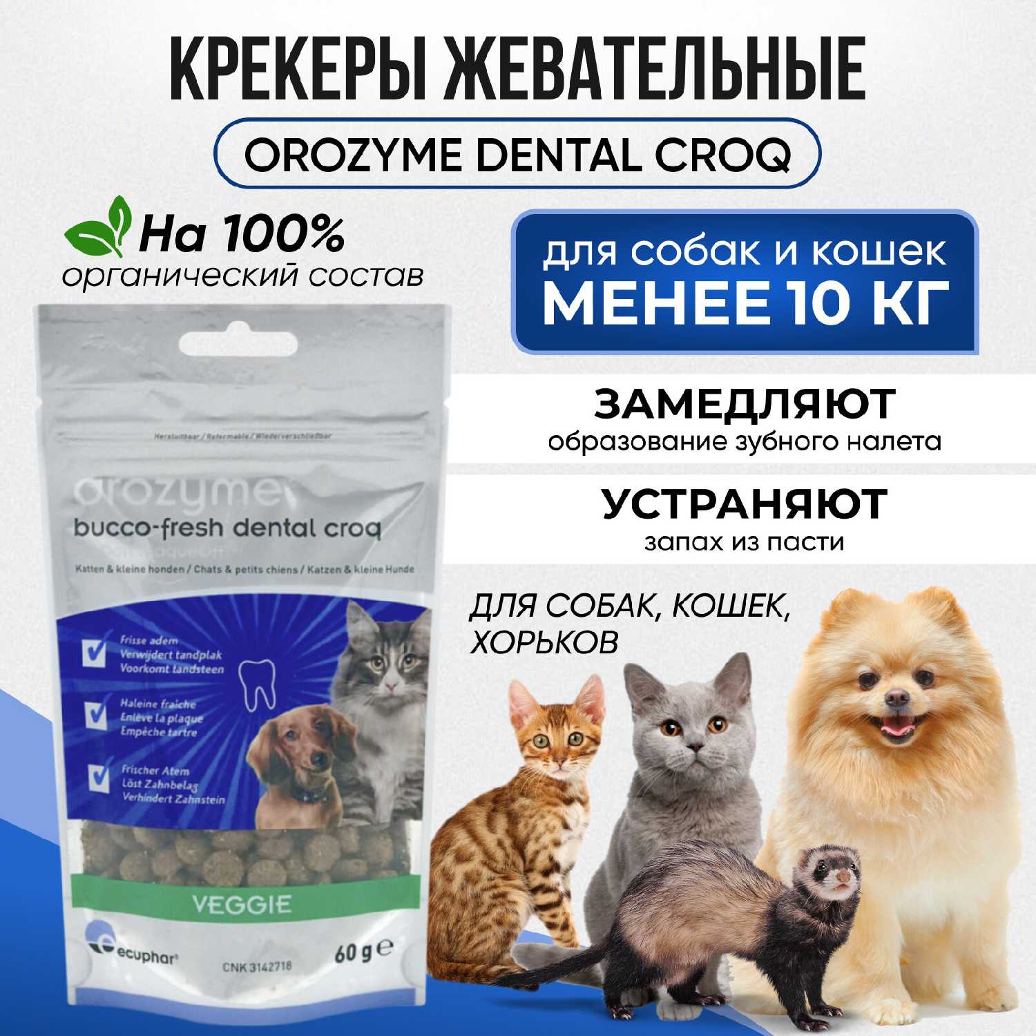 orozyme Orozyme Dental Croq