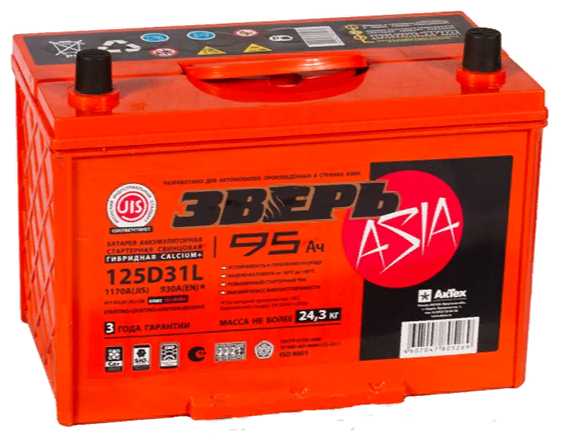 Зверь Asia 125D31L