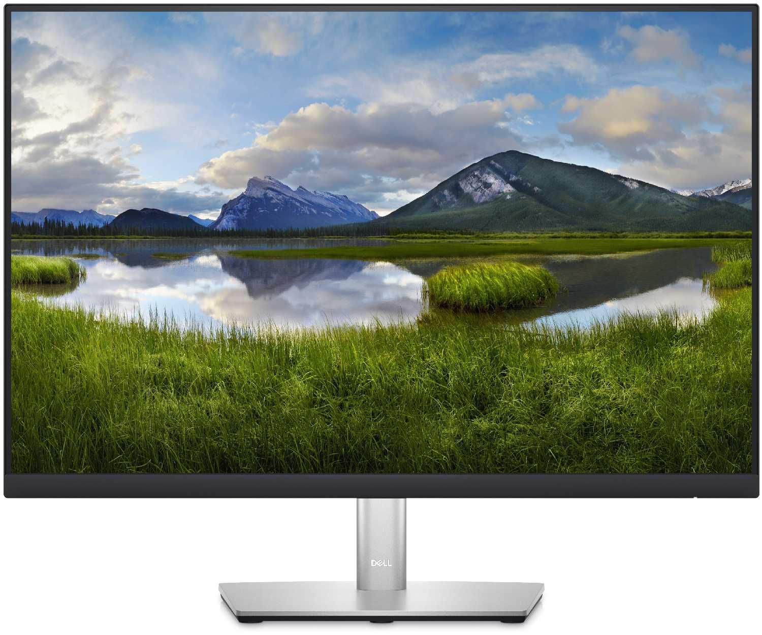 DELL P2423