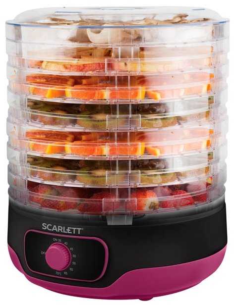 Scarlett SC-FD421012