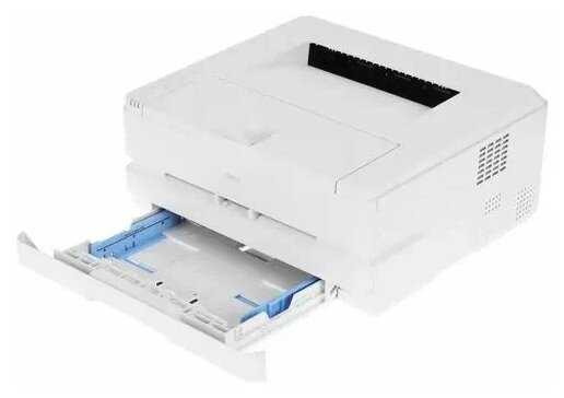 deli P2500DW
