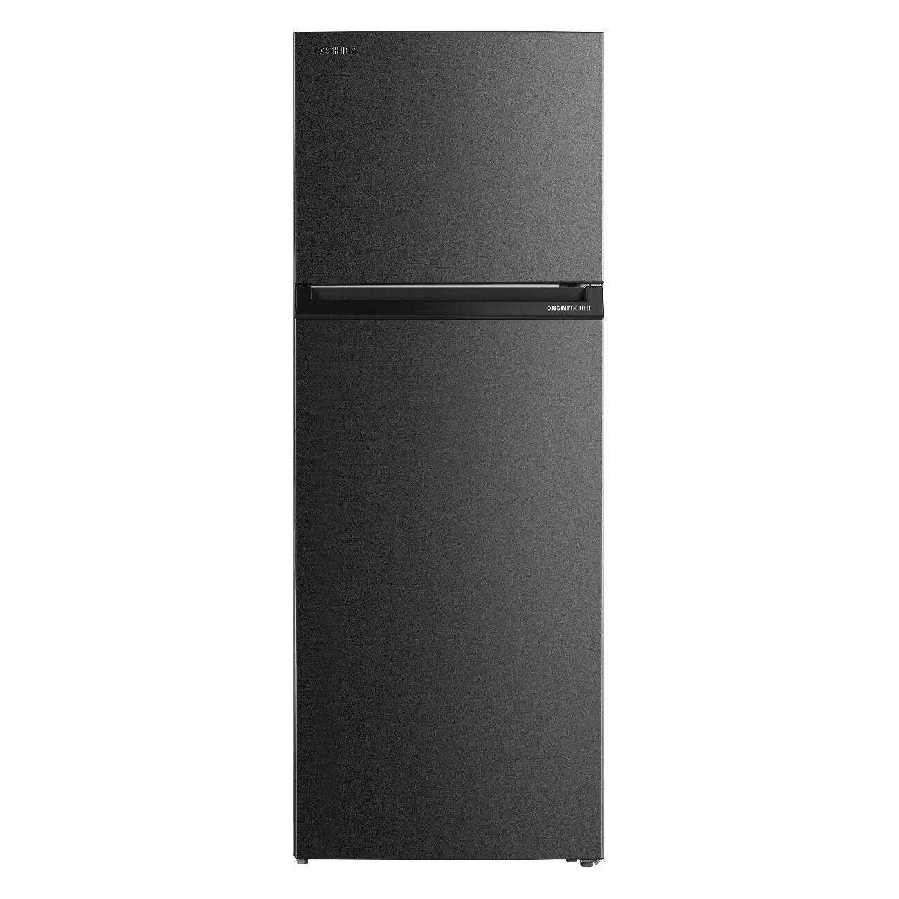 Toshiba GR-RT624WE (06)