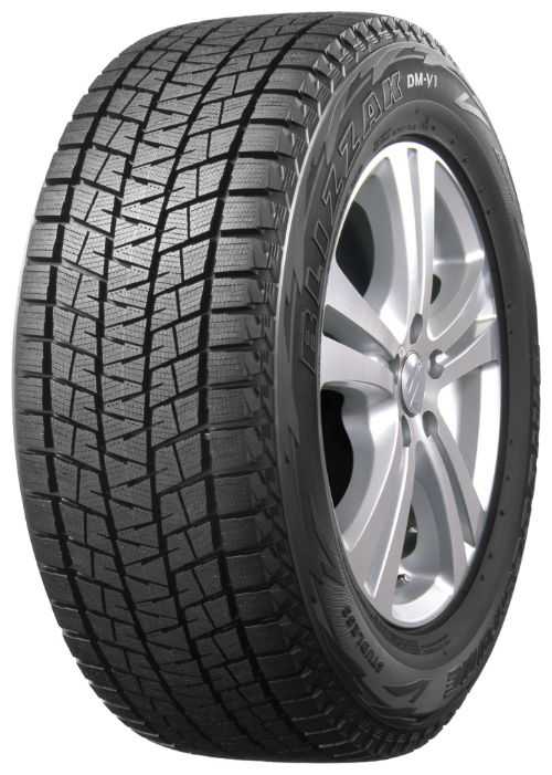 Bridgestone Blizzak DM-V1