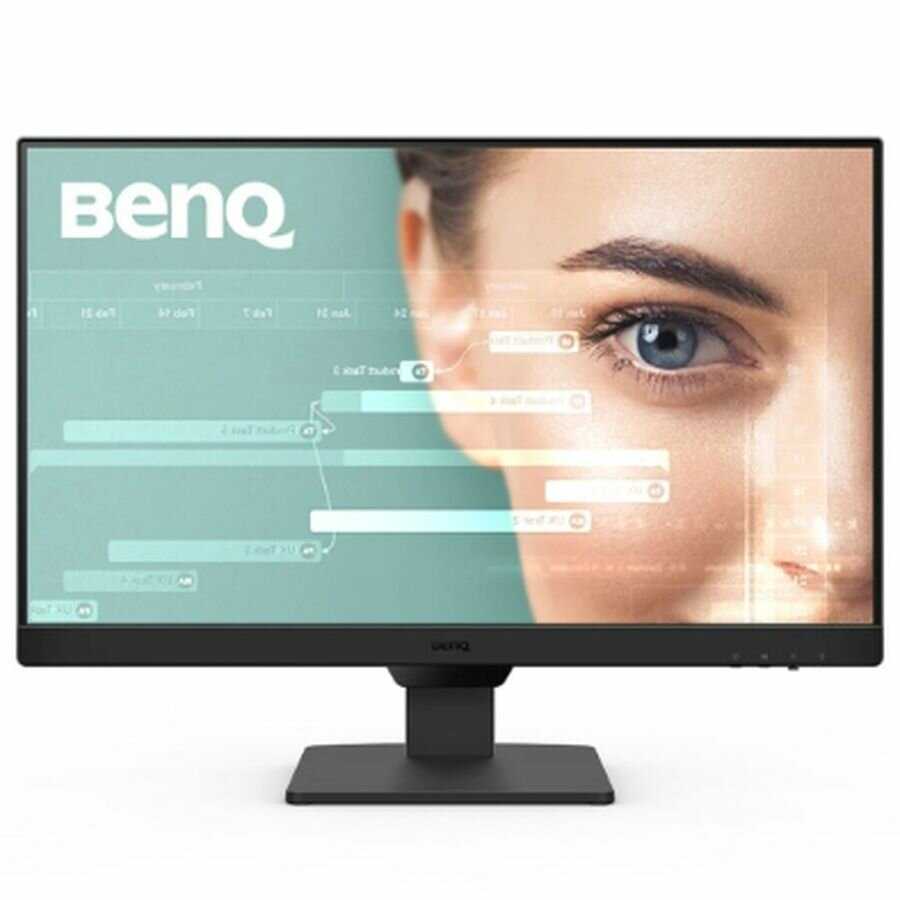 BenQ GW2490