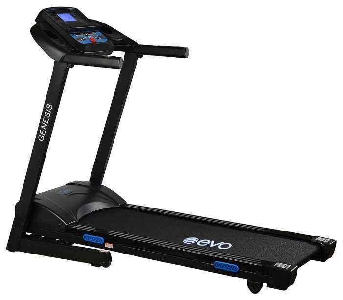 Evo Fitness Genesis