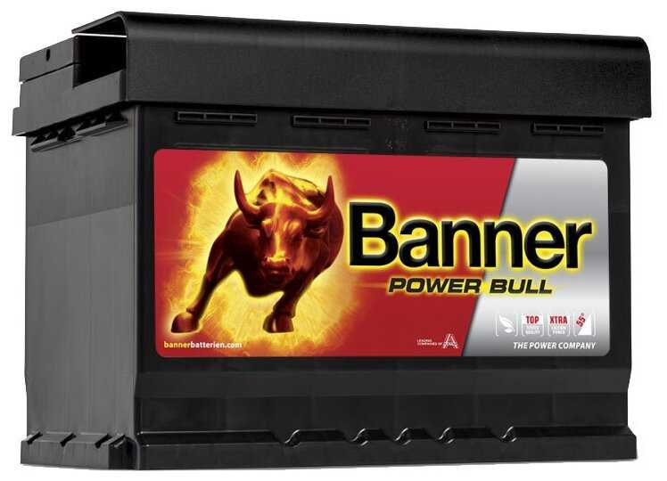 Banner Power Bull P60 09 242x175x175
