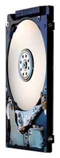 HGST 500 ГБ HTS545050A7E380