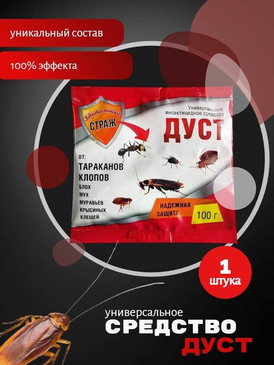 Бдительный страж Дуст