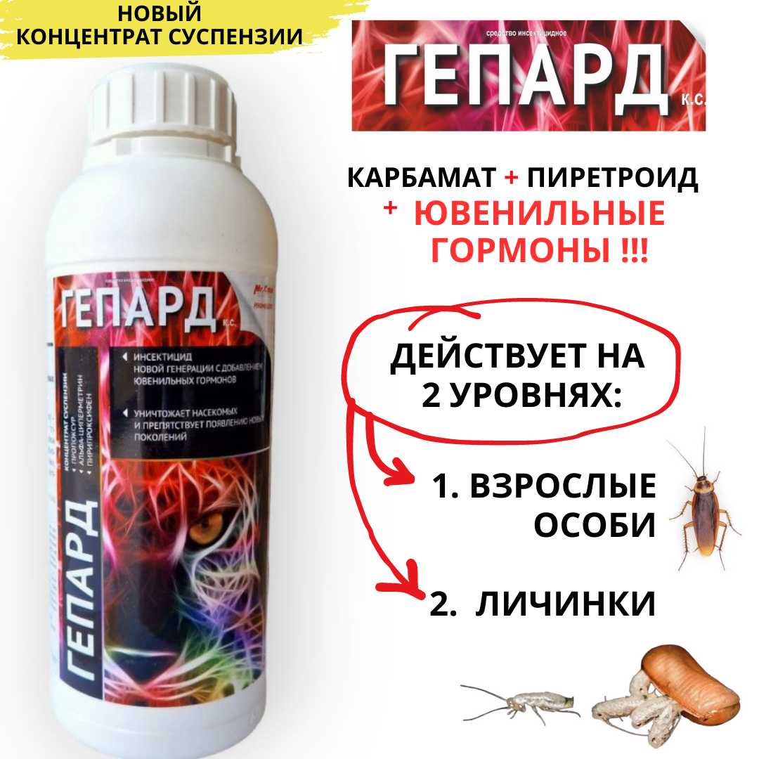 ASplant Гепард