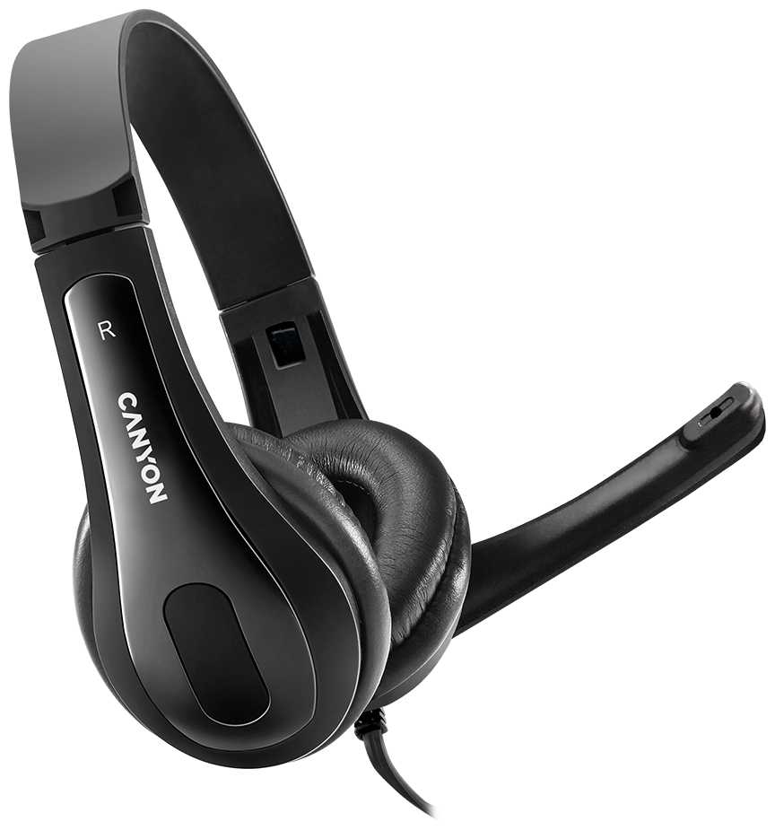 Canyon CHSU-1 (CNS-CHSU1B), с микрофоном и USB-подключением
