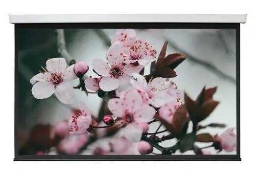 Рулонный Digis ELECTRA-F (DSEF-16904) фотография 9