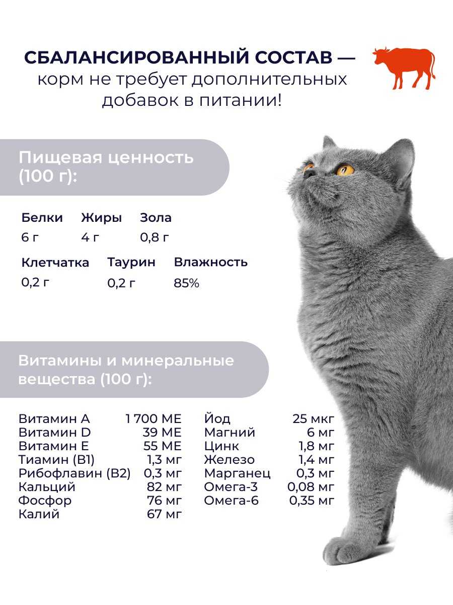Корм для кошек Jarvi Preventive diet line Renal (соус) Говядина фотография 6