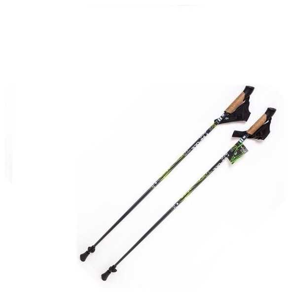 Палки для скандинавской ходьбы Finpole ECO 20% Carbon Черные 110 см фотография 1