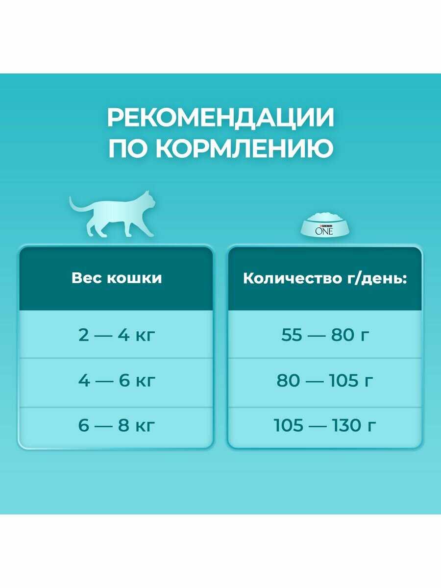Корм Purina ONE с высоким содержанием лосося и пшеницы фотография 13