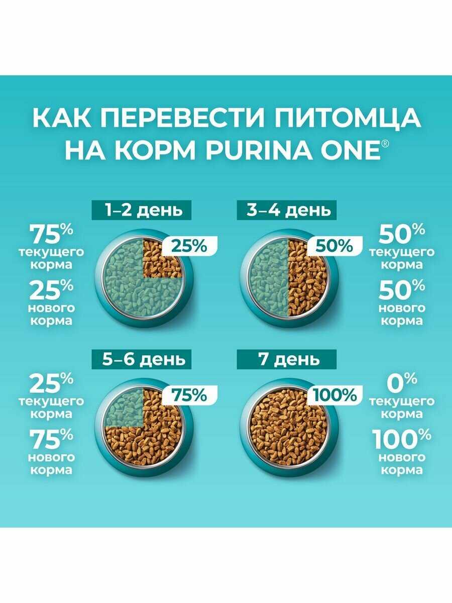Корм Purina ONE с высоким содержанием лосося и пшеницы фотография 14