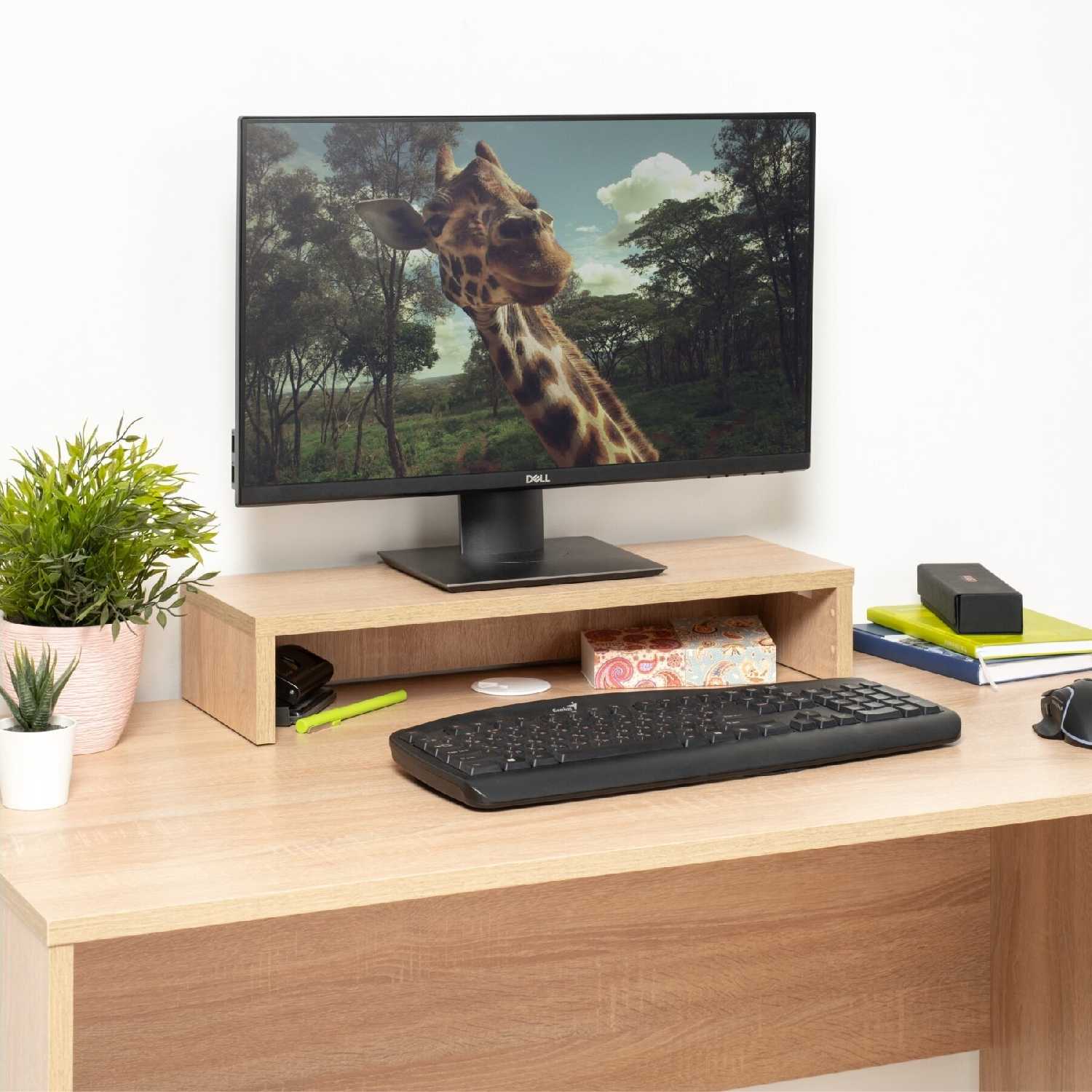 Роксет 16.574 фотография 31