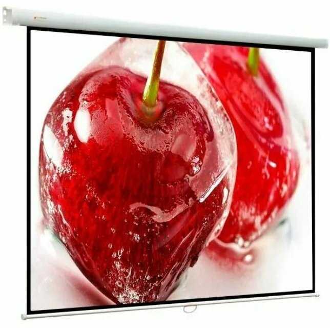 Экран Viewscreen Lotus (WLO-1103) фотография 5