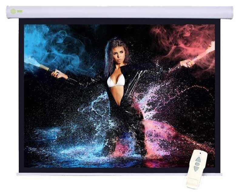 Рулонный cactus Motoscreen (CS-PSM-104x186)