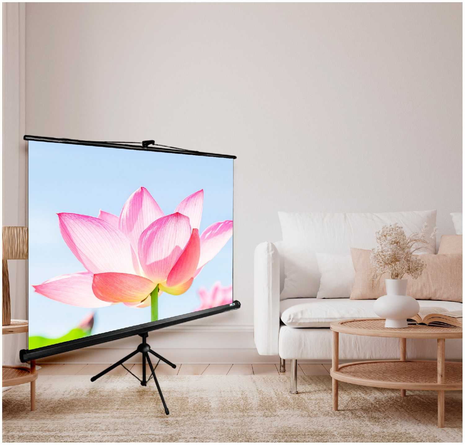 Рулонный cactus Triscreen CS-PST-104x186 фотография 4