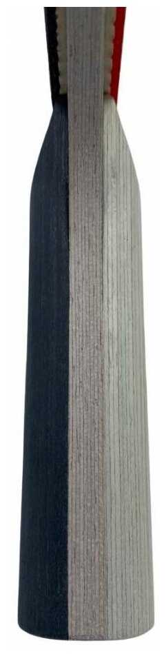 Ракетка для настольного тенниса BUTTERFLY Timo Boll Diamond фотография 4