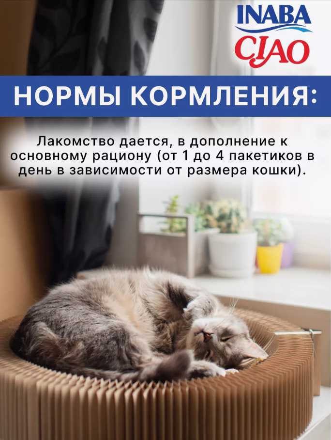 Лакомство для кошек Inaba Churu Bee с тунцом Магуро и запеченным куриным филе 2 уп х 30 гр фотография 7