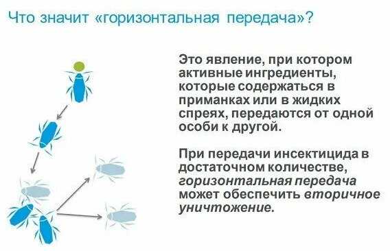 Гель Advion Гель от тараканов и муравьев (Адвион) фотография 18
