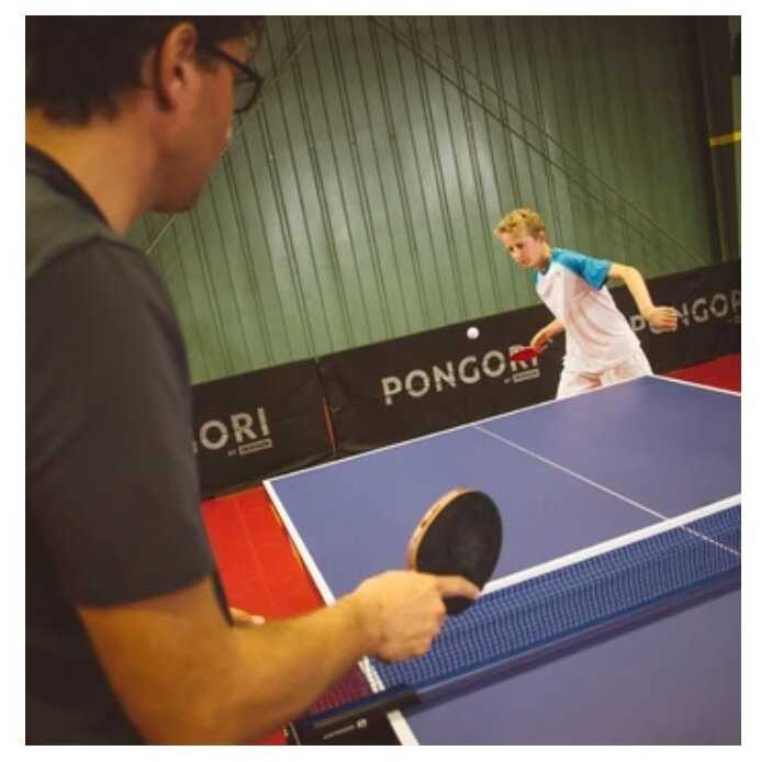 Ракетки для настольного тенниса Decathlon TTR 100 (PONGORI) фотография 8