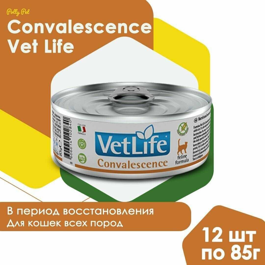 Корм для кошек Farmina Vet Life Convalescence фотография 4