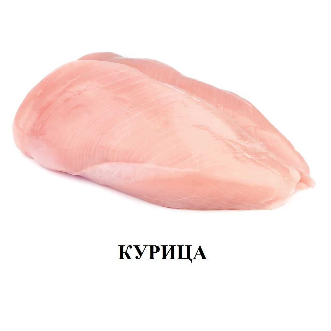 Корм для котят Alleva Holistic (беззерновой, с курицей, с уткой) фотография 17