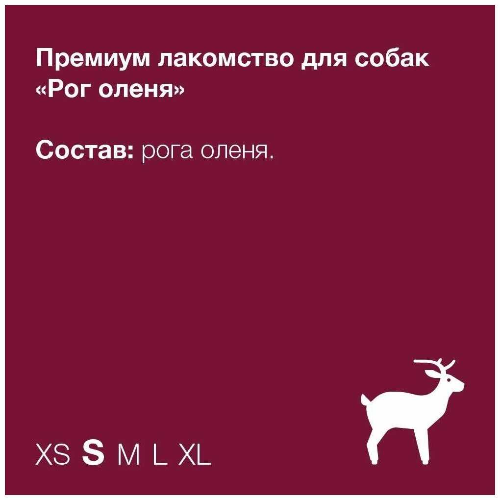 Лакомство ORGANIX Бычий корень (L) фотография 3