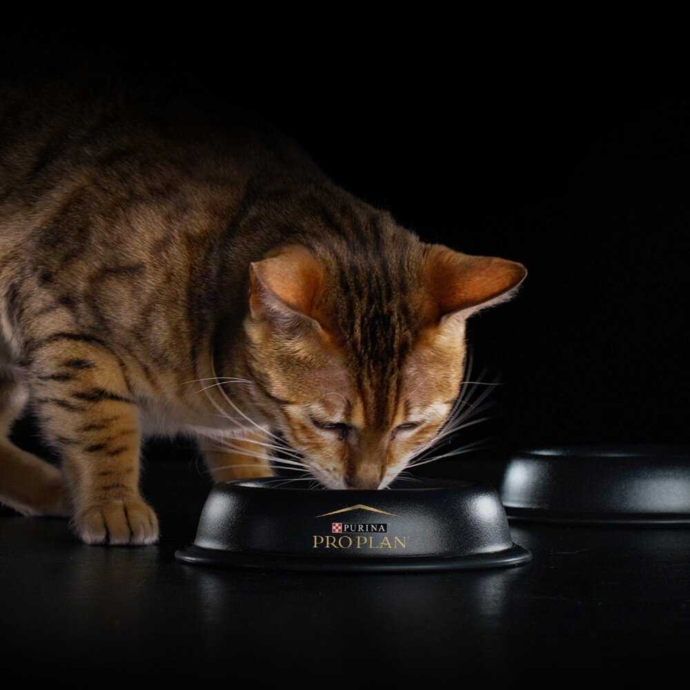 Корм кошек Pro Plan с индейкой фотография 12