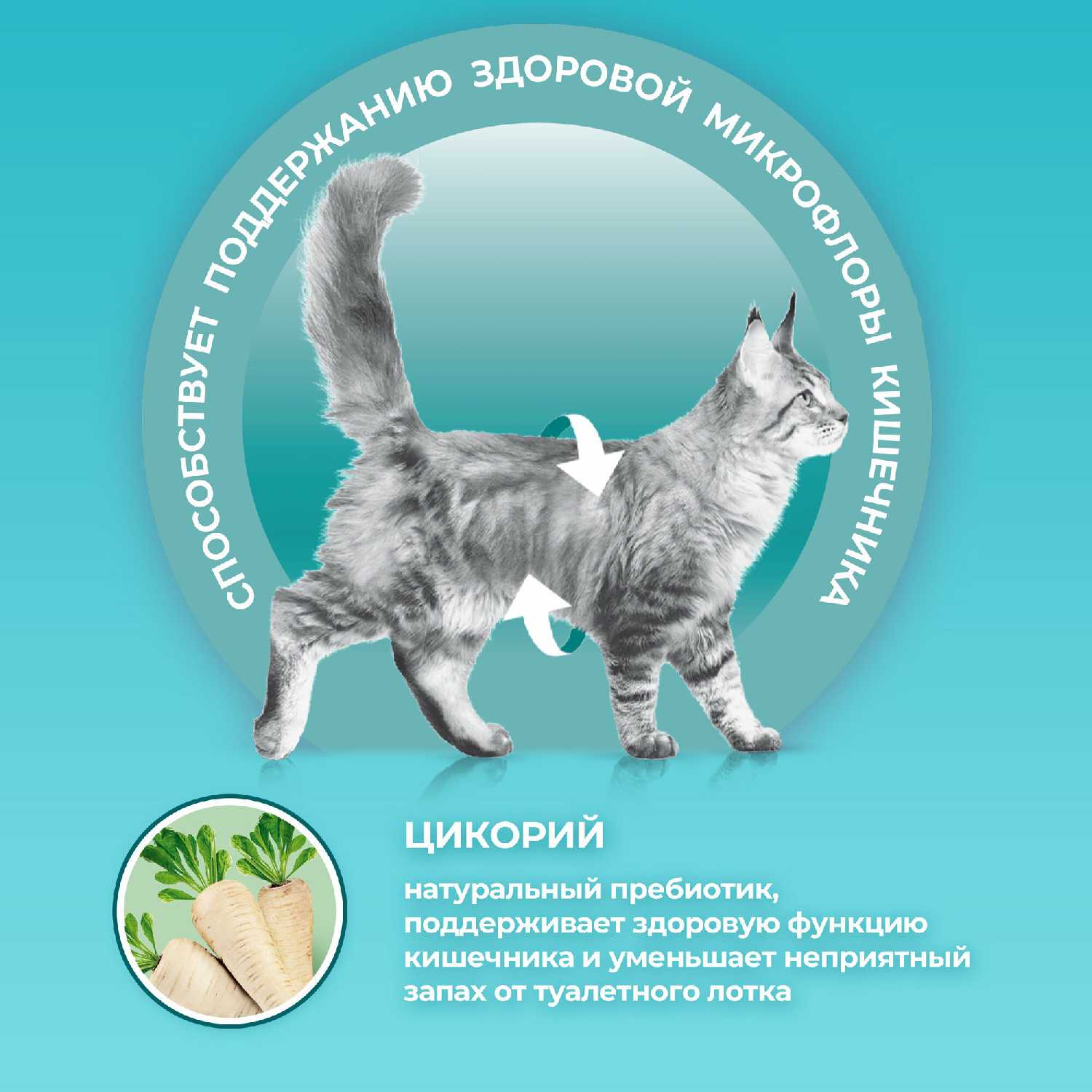 Корм для кошек Purina ONE с высоким содержанием курицы и цельными злаками фотография 17
