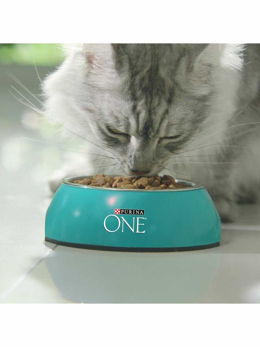 Корм Purina ONE с высоким содержанием лосося и пшеницы фотография 19