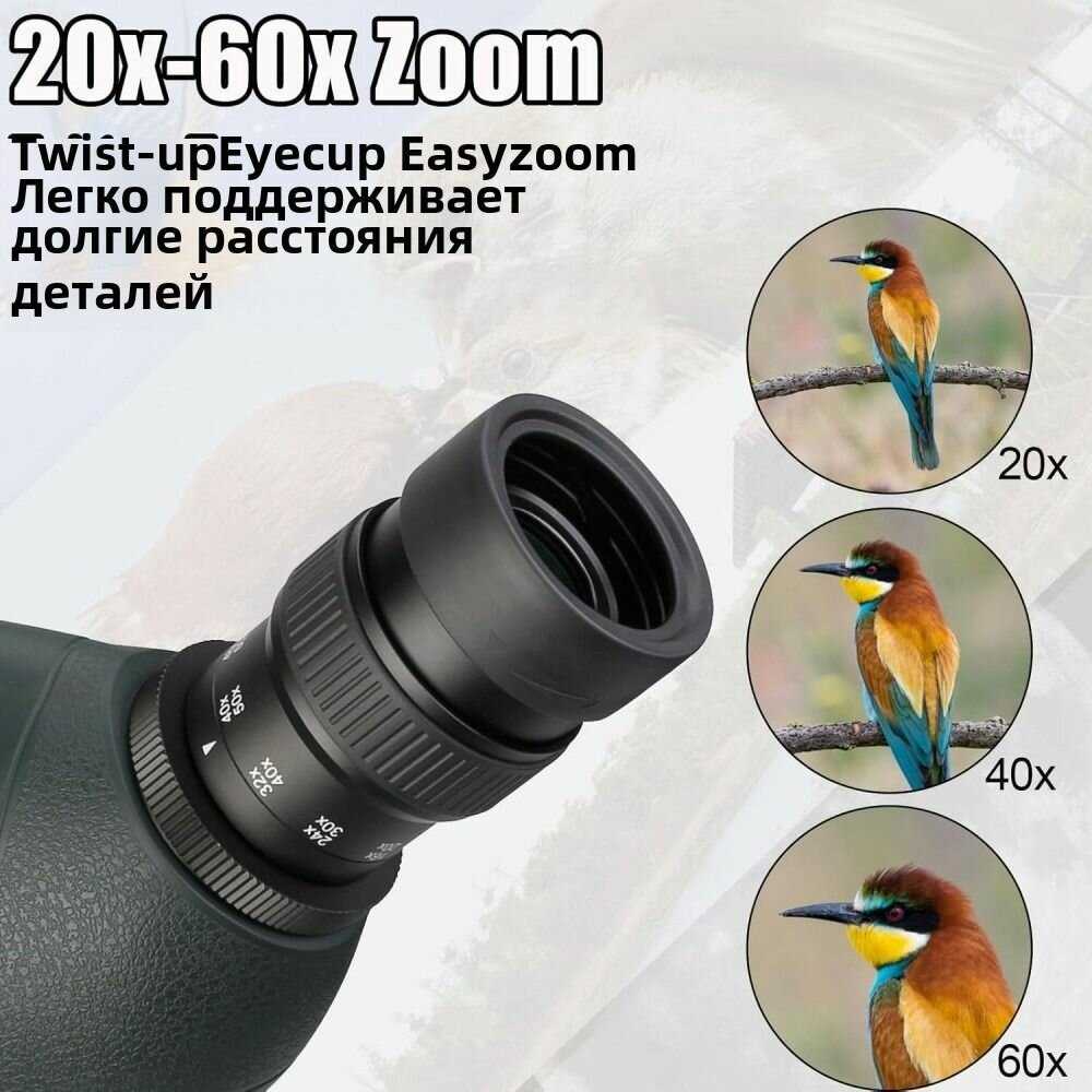 Зрительная труба SVBONY SV406P 20-60X80 ED фотография 15