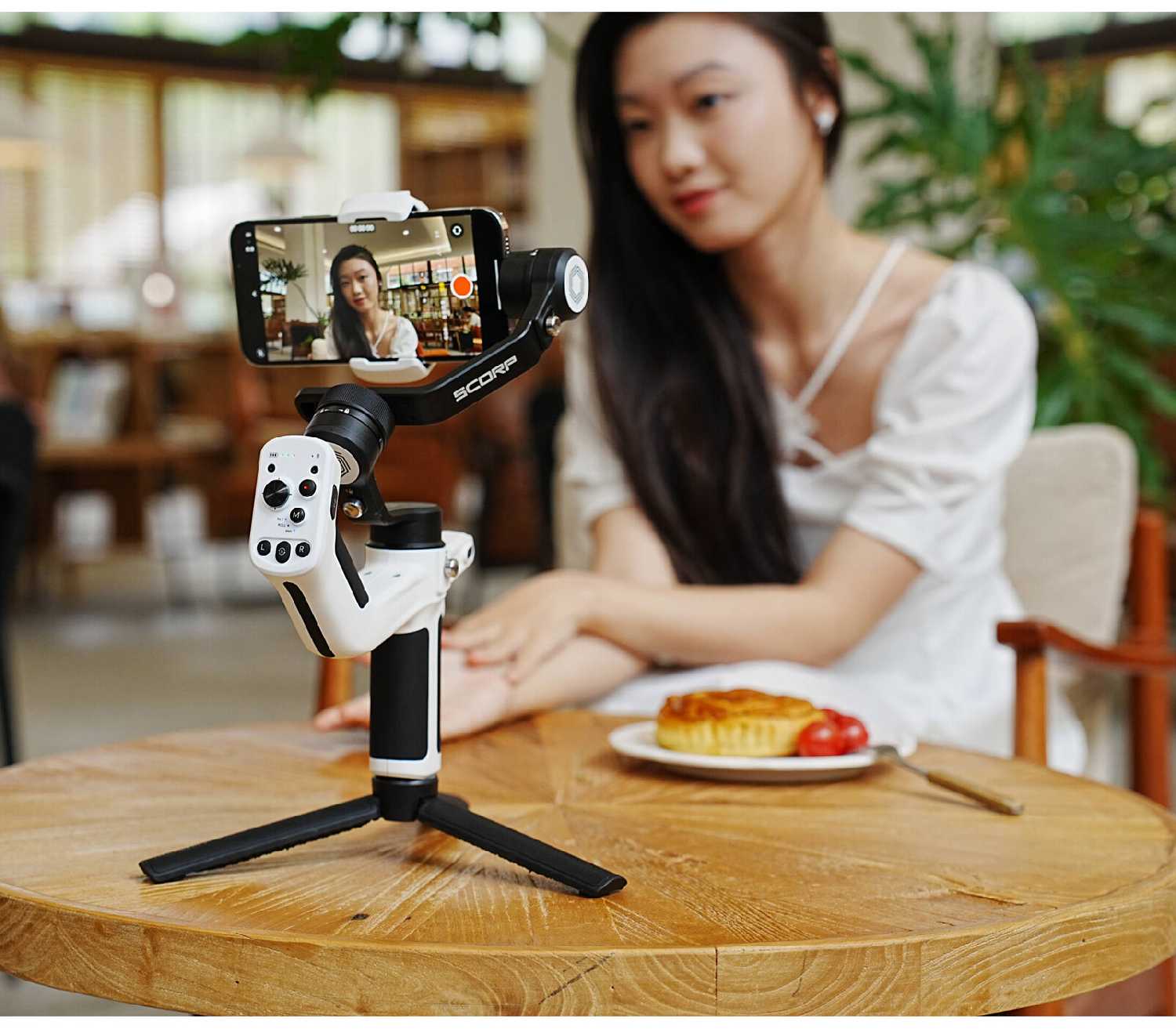 Стабилизатор FeiyuTech Scorp Mini P Kit фотография 9